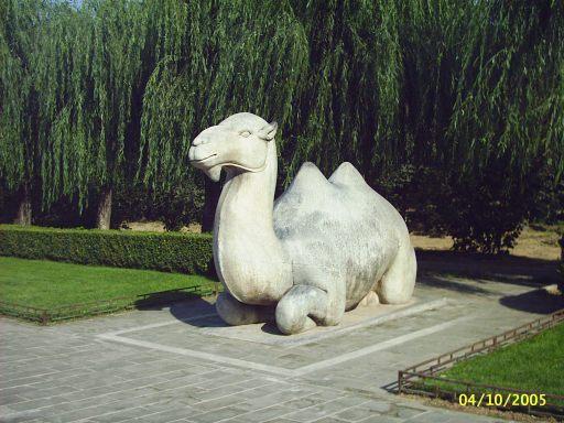 pic_0046.jpg